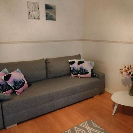 Spacious Apartment With Balcony And Free Wifi Rovaniemi Exteriör bild